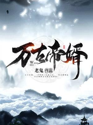 萬古帝婿夜玄全本免費閱讀完整版