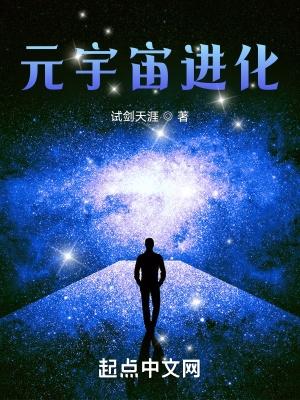 元宇宙进化起点中文网