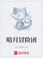 魔獸世界暗月冒險者指南