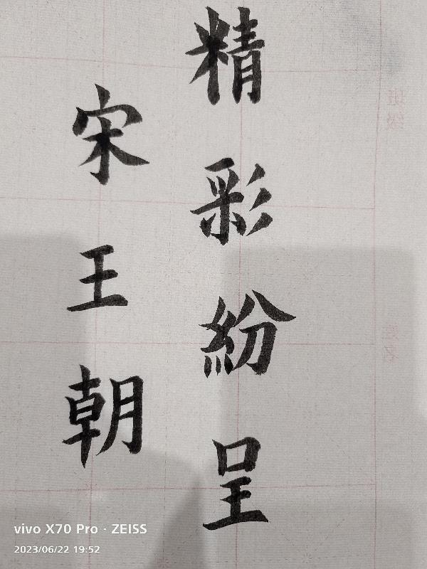 精彩紛呈宋王朝書