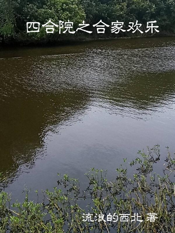 四合院之合家歡樂 TXT