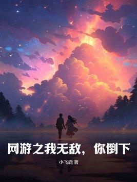 網遊之無敵盜賊百度百科