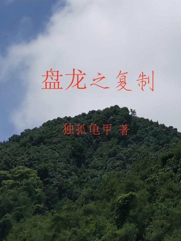 盘龙复制法则