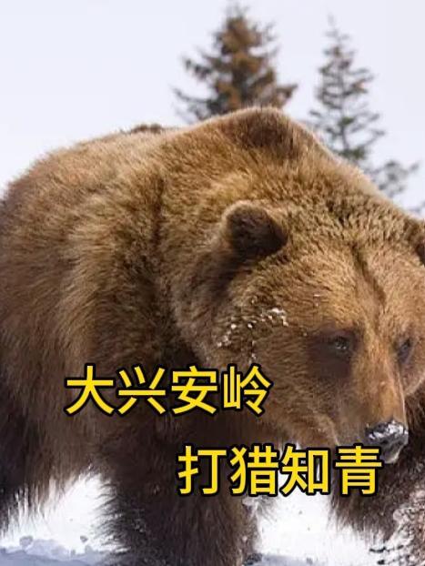 東北大興安嶺打獵故事