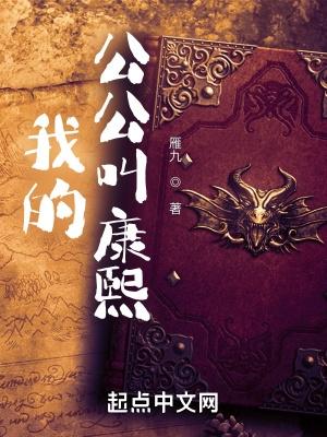 我的公公叫康熙 雁九無錯版